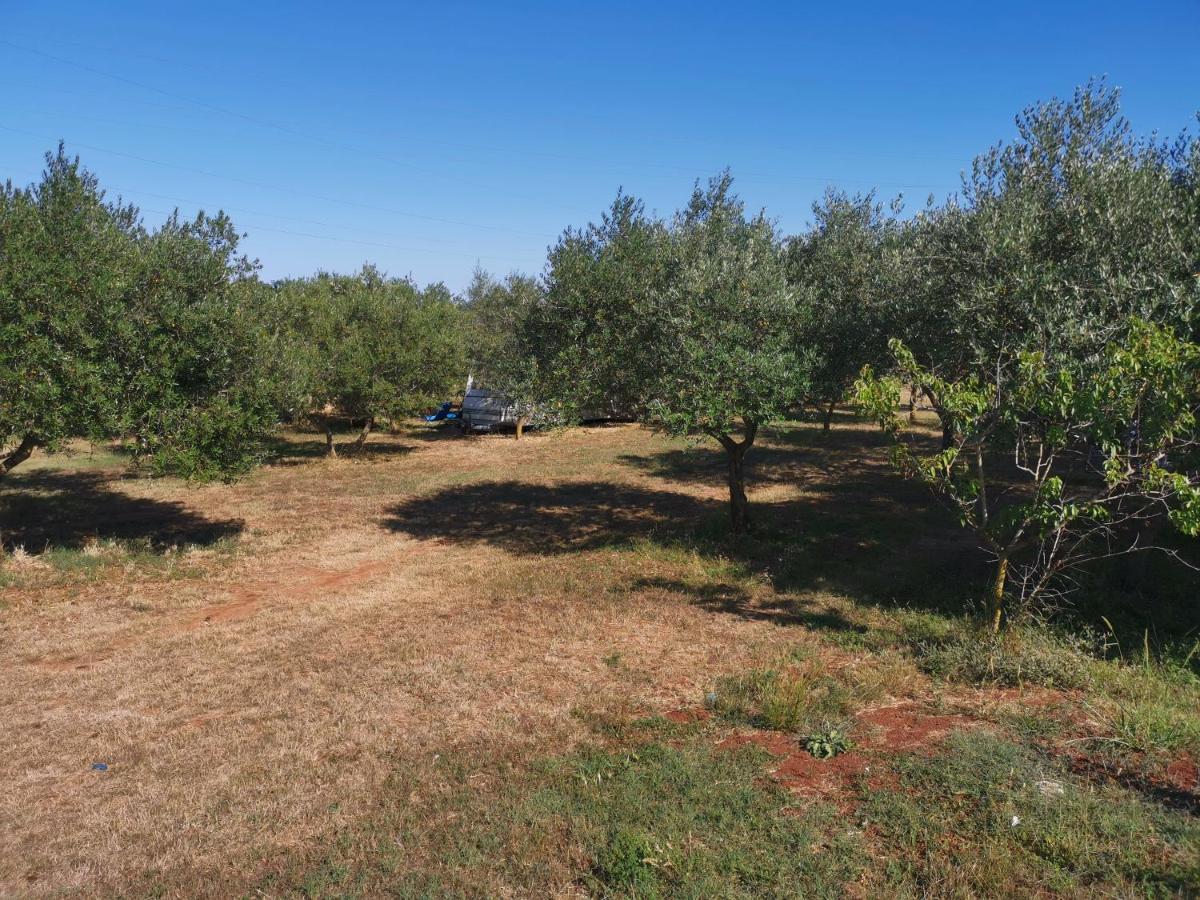 Jacuzi Cottage In The Olive Grove Pula Bagian luar foto
