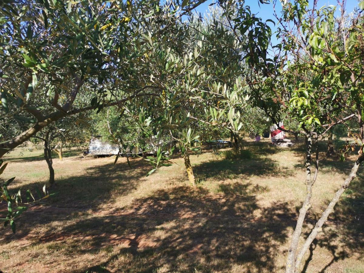 Jacuzi Cottage In The Olive Grove Pula Bagian luar foto