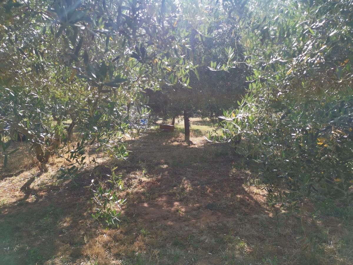 Jacuzi Cottage In The Olive Grove Pula Bagian luar foto