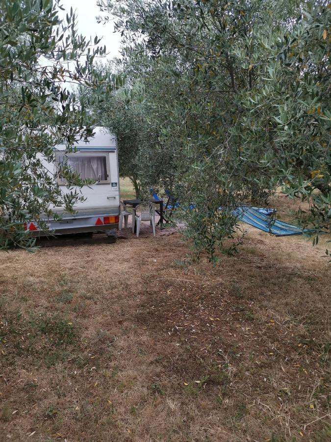 Jacuzi Cottage In The Olive Grove Pula Bagian luar foto