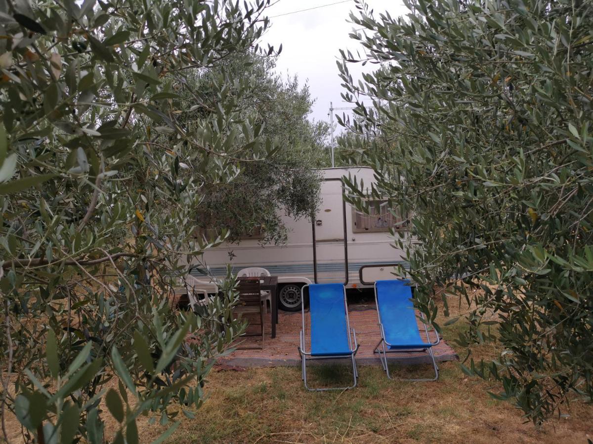 Jacuzi Cottage In The Olive Grove Pula Bagian luar foto