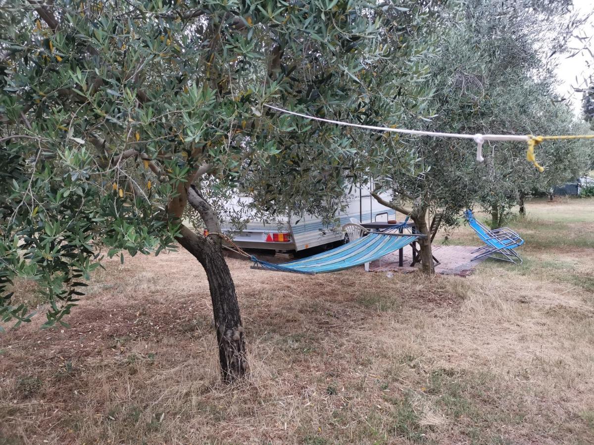 Jacuzi Cottage In The Olive Grove Pula Bagian luar foto