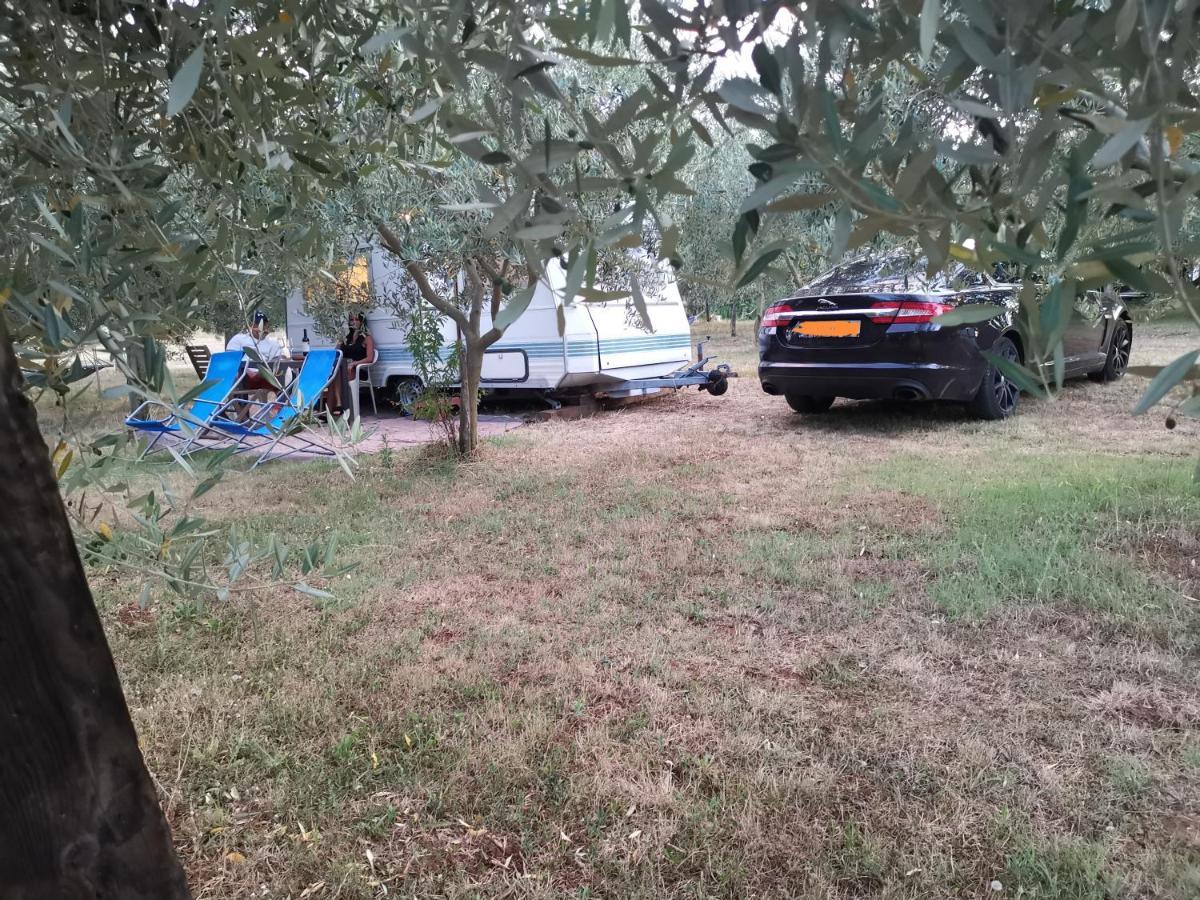 Jacuzi Cottage In The Olive Grove Pula Bagian luar foto