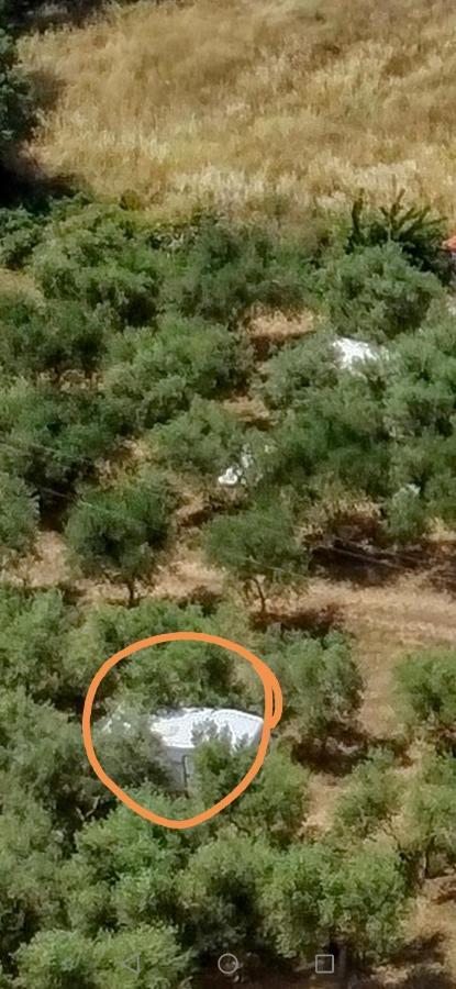 Jacuzi Cottage In The Olive Grove Pula Bagian luar foto
