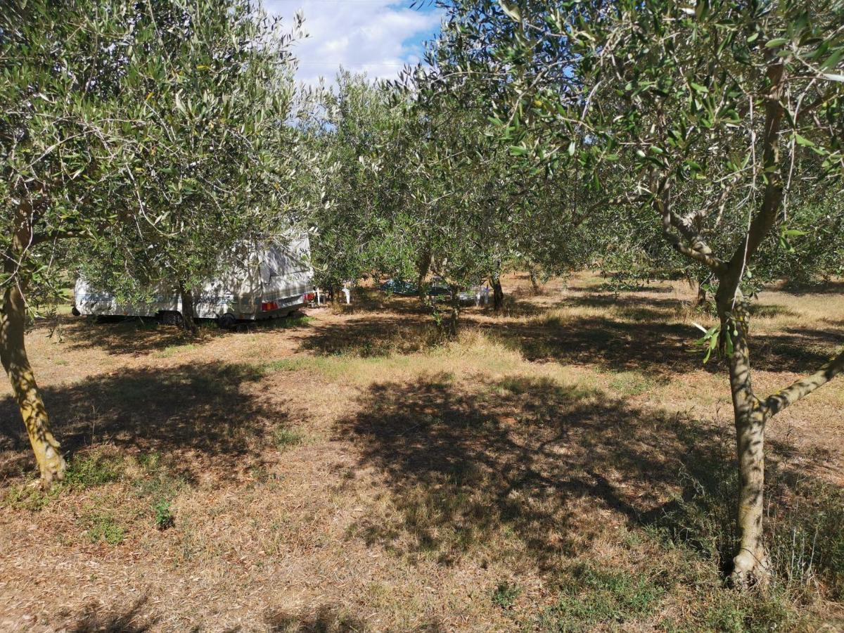 Jacuzi Cottage In The Olive Grove Pula Bagian luar foto