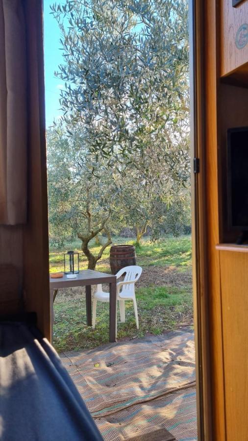 Jacuzi Cottage In The Olive Grove Pula Bagian luar foto