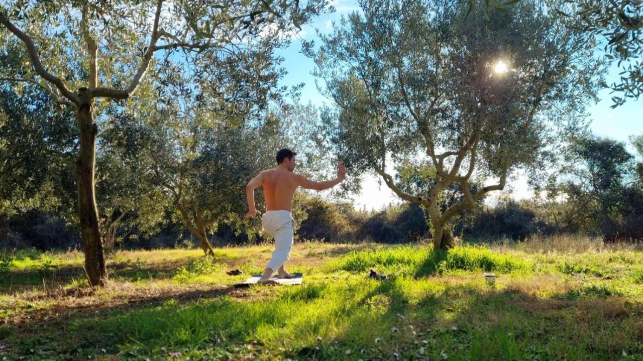 Jacuzi Cottage In The Olive Grove Pula Bagian luar foto