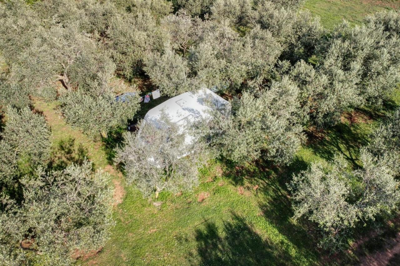 Jacuzi Cottage In The Olive Grove Pula Bagian luar foto