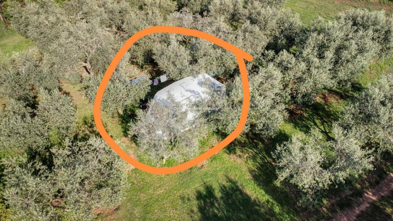 Jacuzi Cottage In The Olive Grove Pula Bagian luar foto