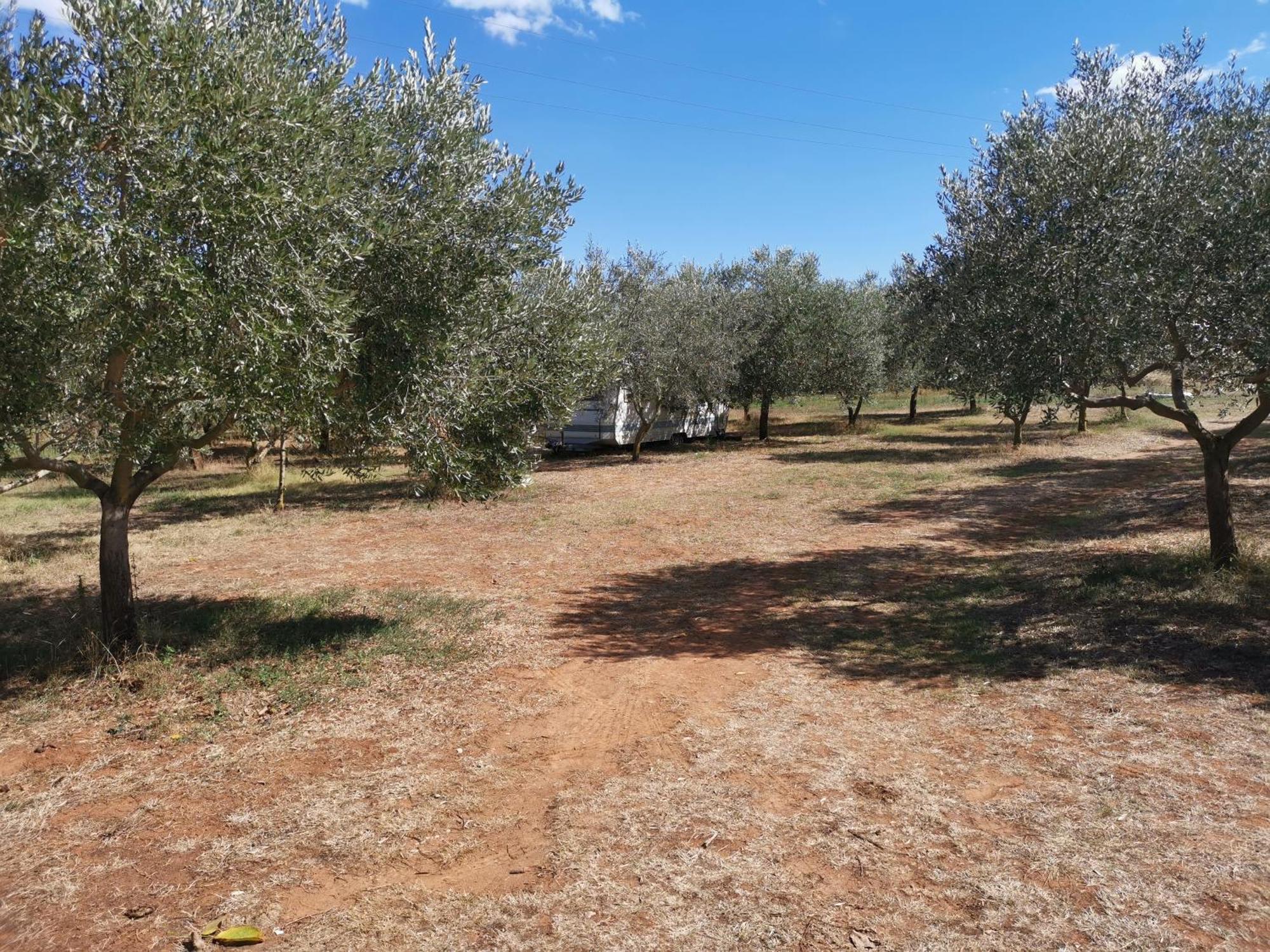 Jacuzi Cottage In The Olive Grove Pula Ruang foto
